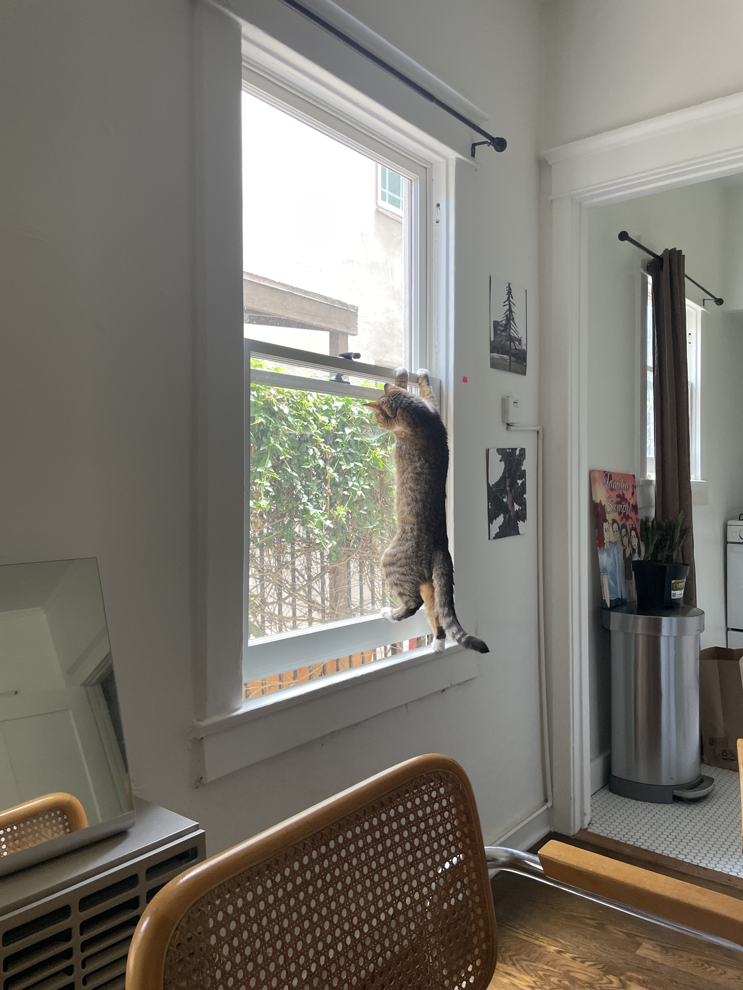 mila bird watching