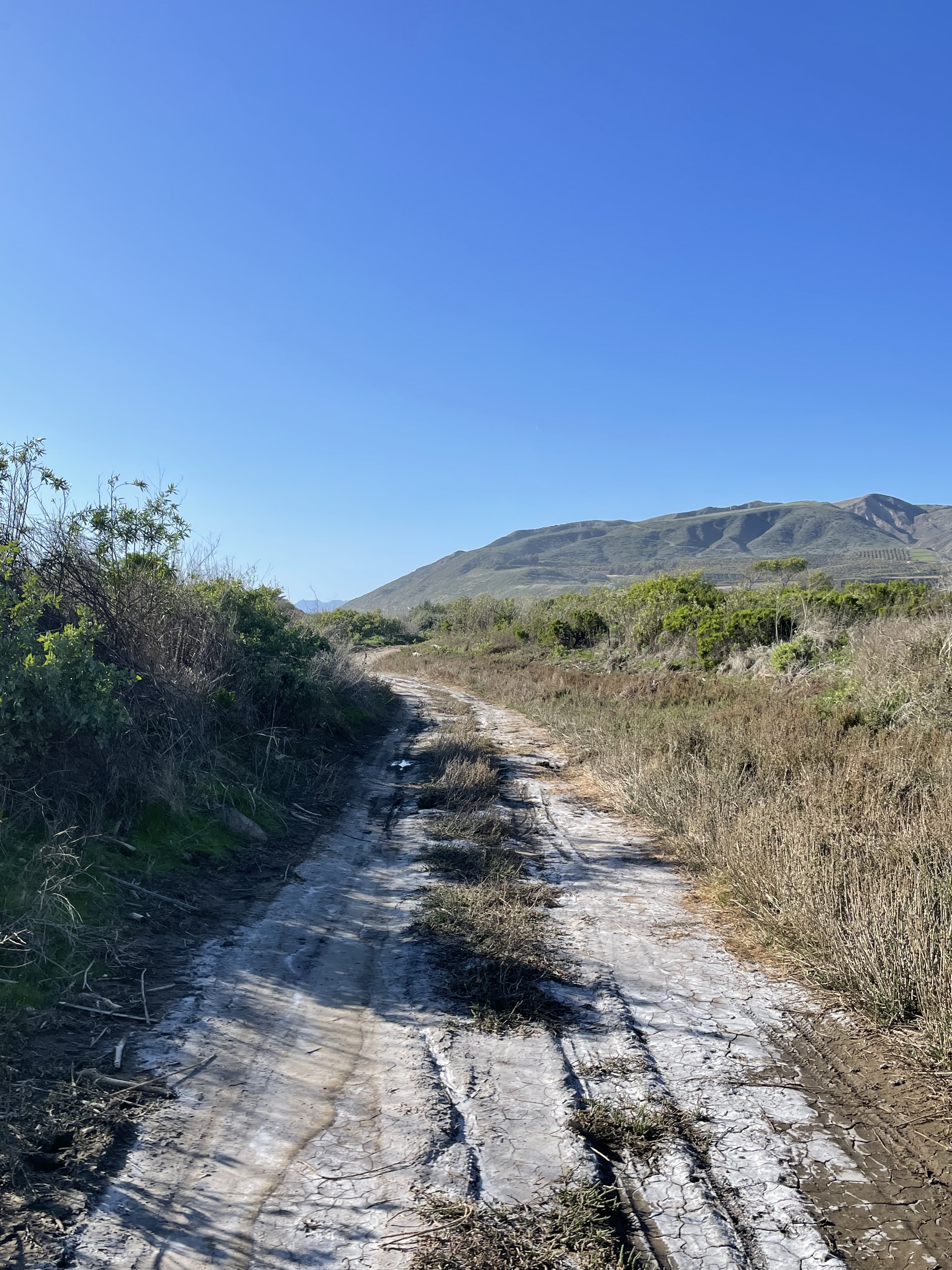 hiking by the beach